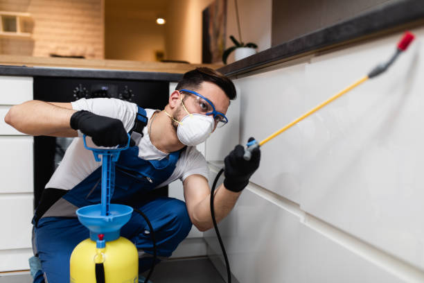 Flea Control Services in Bronte, TX