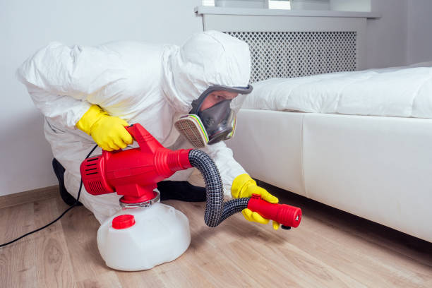 Pest Control Cost in Bronte, TX