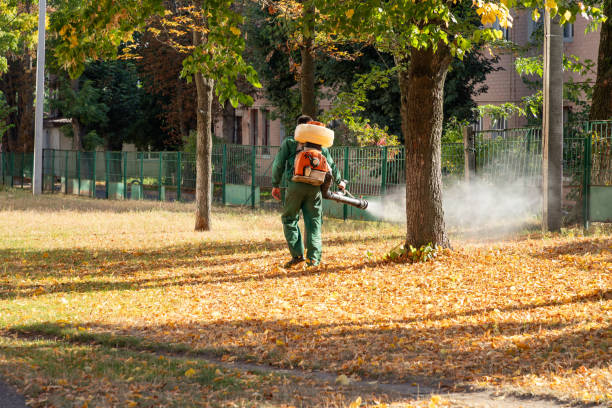 Best Pest Control Near Me  in Bronte, TX