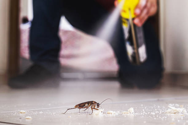 Best Pest Control Near Me in Bronte, TX