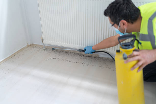 Best Mosquito Control Services  in Bronte, TX