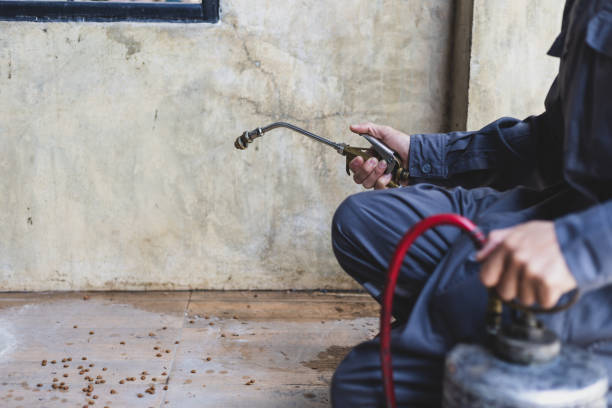 Best Affordable Pest Control Services  in Bronte, TX