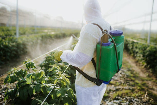 Best Insect Control  in Bronte, TX